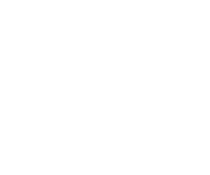 Vince 3D Lab